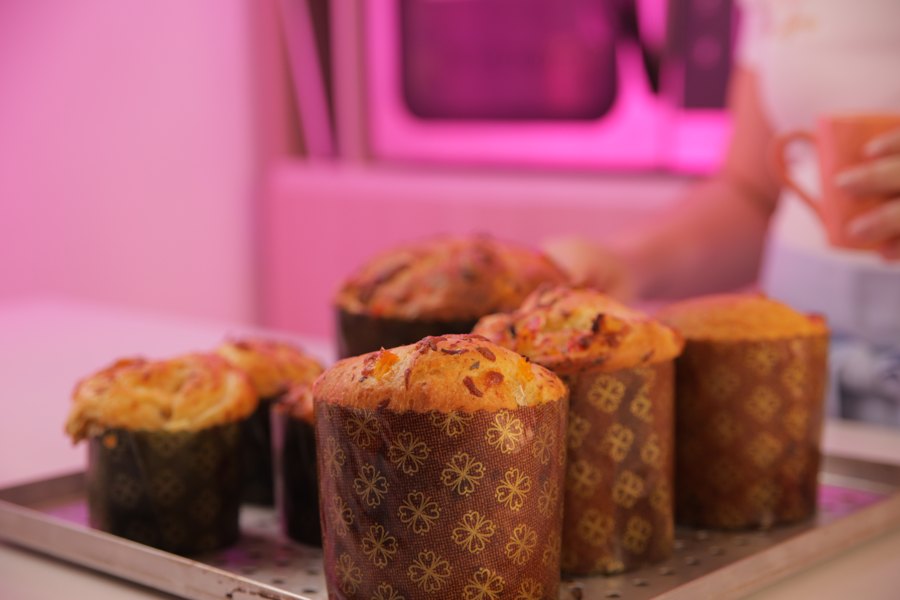 Panetones assados saindo do forno em bandeja
